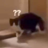 pé hama