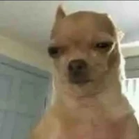 người đi đường