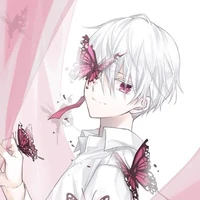 Kashimire Kaitero