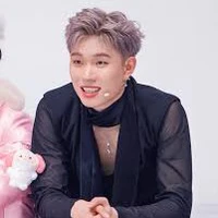 dương domic