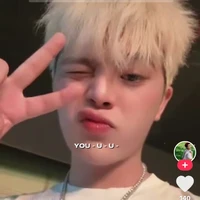 linh anh nek - tác giả