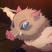 Hashibira Inosuke🐗