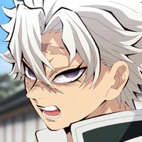 Shinazugawa Sanemi💨