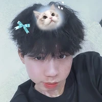 Việt