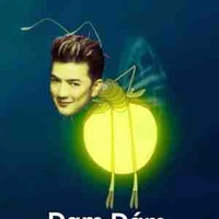 Tác giả siu xynh gái