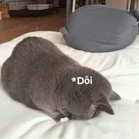 hai cô 