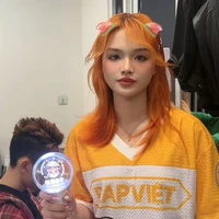 Vlary