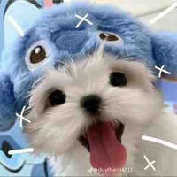 Tác giả siu vô tri