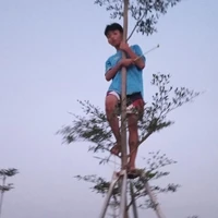 chiến đo