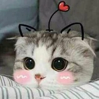 Tác giả cute hộp vịt lộn -)?
