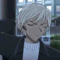 Furuya rei/ Amuro Tooru/ Bourbon