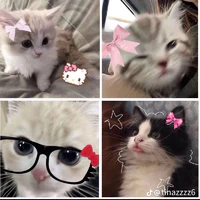 tác giả 🌷