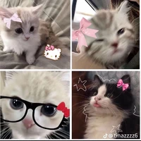 tác giả 🌷
