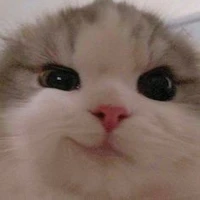 NV phụ / học sinh