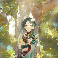 senkusha/xiao