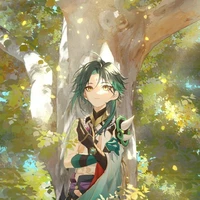 senkusha/xiao