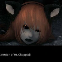 Mr.Chopped