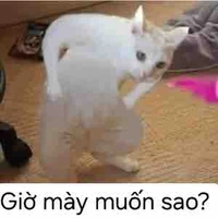 all trừ ai thì trừ