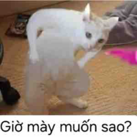 all trừ ai thì trừ