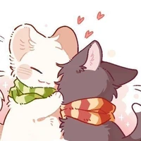 Cả Hai