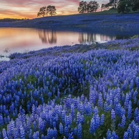 All từ những người cần trừ