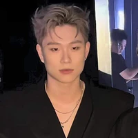 dương domic