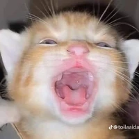 Bí ẩn