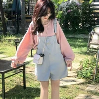 Hạ Thư