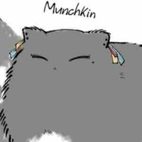 [ T/g hay lộn xào ]