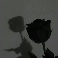 t/g