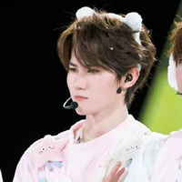 Trương Chân Nguyên