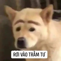 Nv Phụ[Nữ]