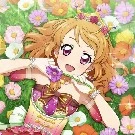 Ozora Akari