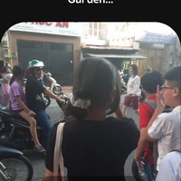 con t/g vô tri_Mèo