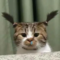 nhỏ tg nè:))