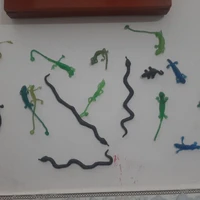 quần chúng ăn dưa