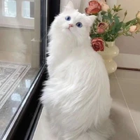 Nana [ hệ thống ]