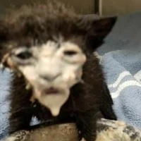 ai đó không biết