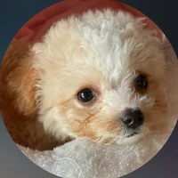 Vlary - Phan Hoàng Thúy Vy