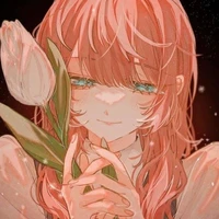 Lumiere Elfforia
