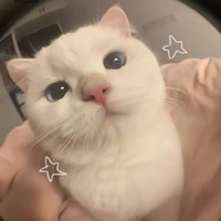 " Miêu "