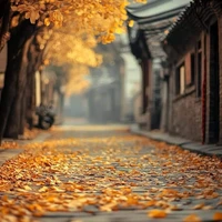 cả nhà Prussia có cả China