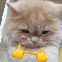 T/g đâyy!!