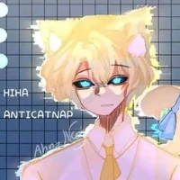hiha anti catnap
