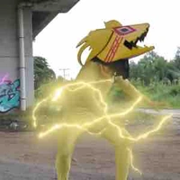 pet 707