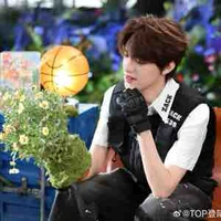 Trương Trạch Vũ