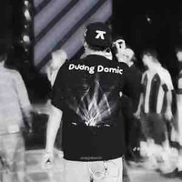 Dương domic 