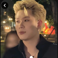 dương domic