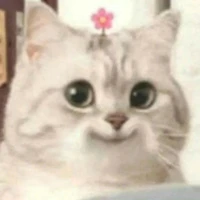 Đầu nghĩ một đằn,tay viết một nẻo 🎀