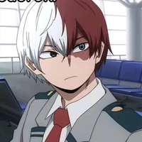 Todoroki Shoto
